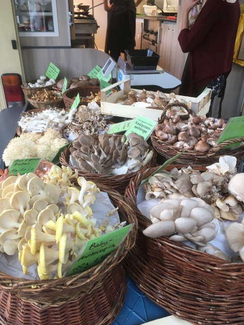 Mushrooms from Germany