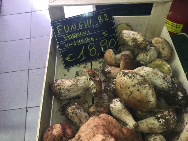 Porcini