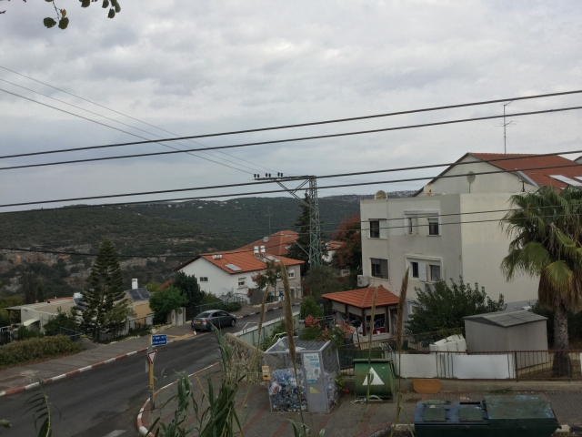 Коронавирус 3