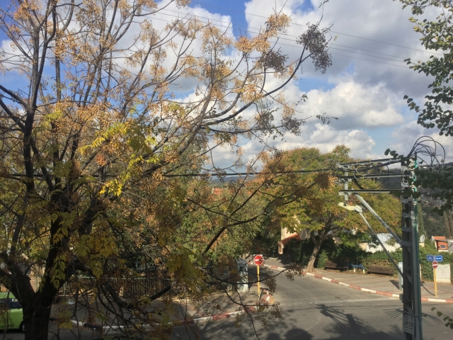 Коронавирус 4