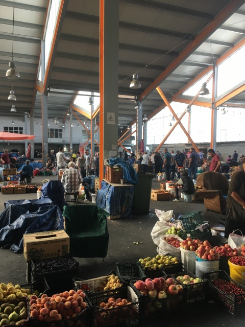 Homo Sapiens II (105)