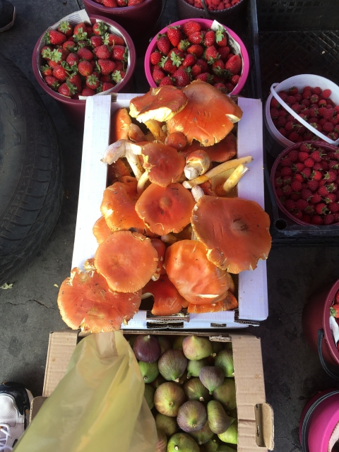 История Иудеев (10)