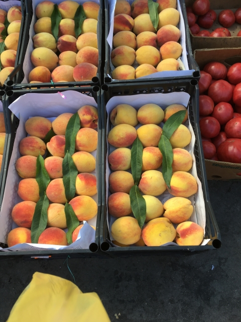 История Иудеев (12)