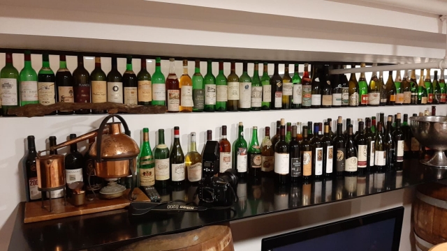 Homo Sapiens II (121)