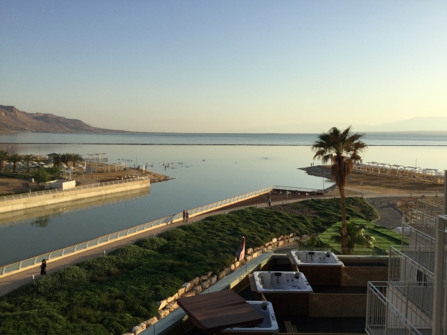 HOMO SAPIENS VOL III (5)