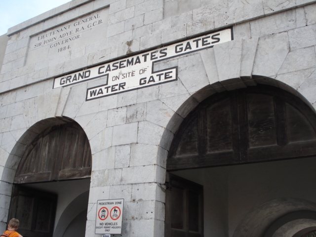 HOMO SAPIENS III (27)